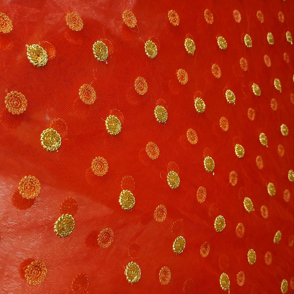 Indian Red Net Sari - image 3
